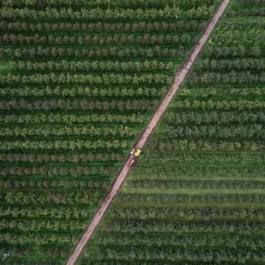 Farming