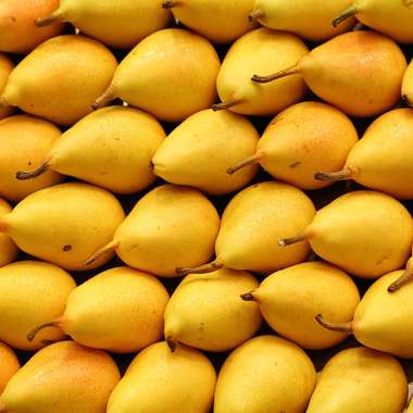 Rows of pears