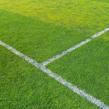 Soccer field